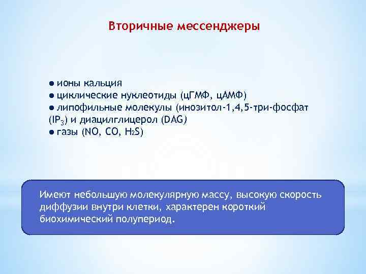 Вторичные мессенджеры ● ионы кальция ● циклические нуклеотиды (ц. ГМФ, ц. АМФ) ● липофильные