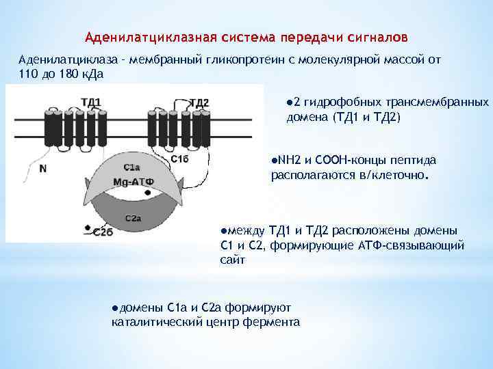 Электронная передача сигнала