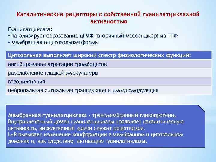 Каталитические рецепторы с собственной гуанилатциклазной активностью Гуанилатциклаза: ▪ катализирует образование ц. ГМФ (вторичный мессенджер)
