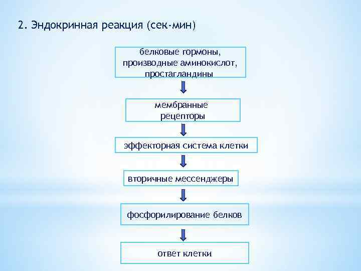 2. Эндокринная реакция (сек-мин) белковые гормоны, производные аминокислот, простагландины мембранные рецепторы эффекторная система клетки