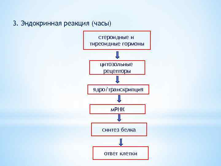 3. Эндокринная реакция (часы) стероидные и тиреоидные гормоны цитозольные рецепторы ядро/транскрипция м. РНК синтез