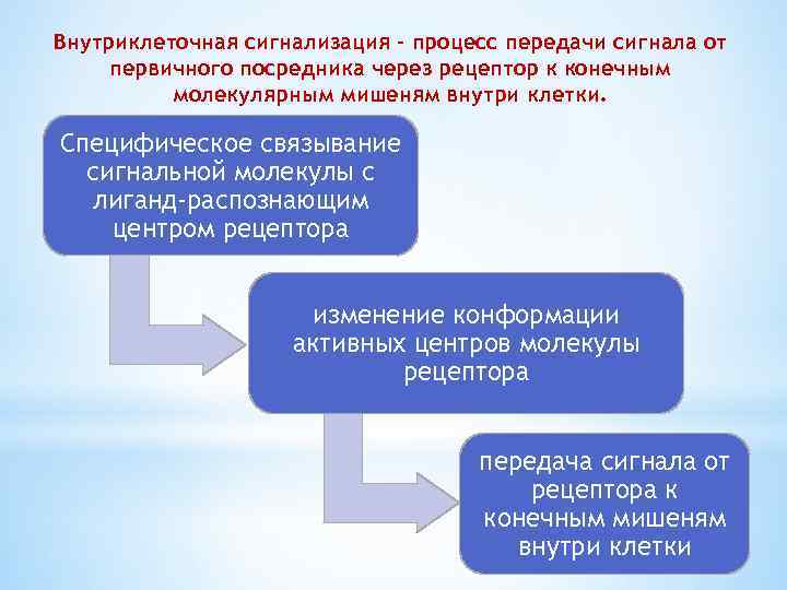 Внутриклеточная сигнализация – процесс передачи сигнала от первичного посредника через рецептор к конечным молекулярным
