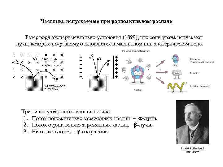 Частицы, испускаемые при радиоактивном распаде Резерфорд экспериментально установил (1899), что соли урана испускают лучи,