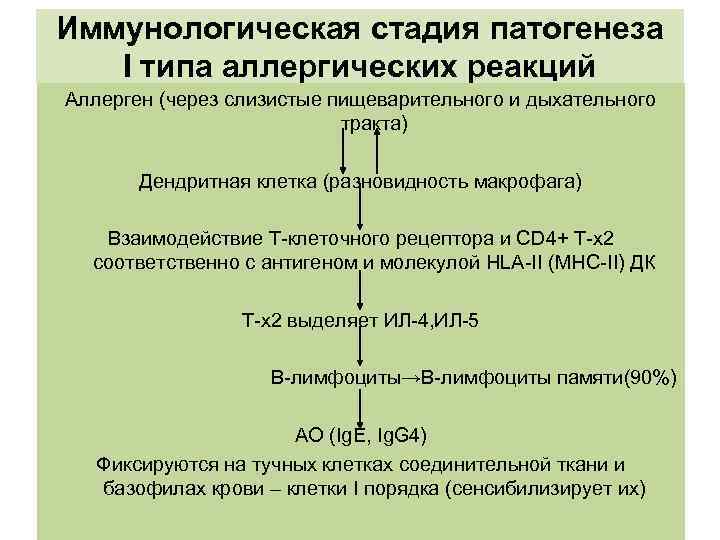 Иммунологическая стадия патогенеза Ι типа аллергических реакций Аллерген (через слизистые пищеварительного и дыхательного тракта)