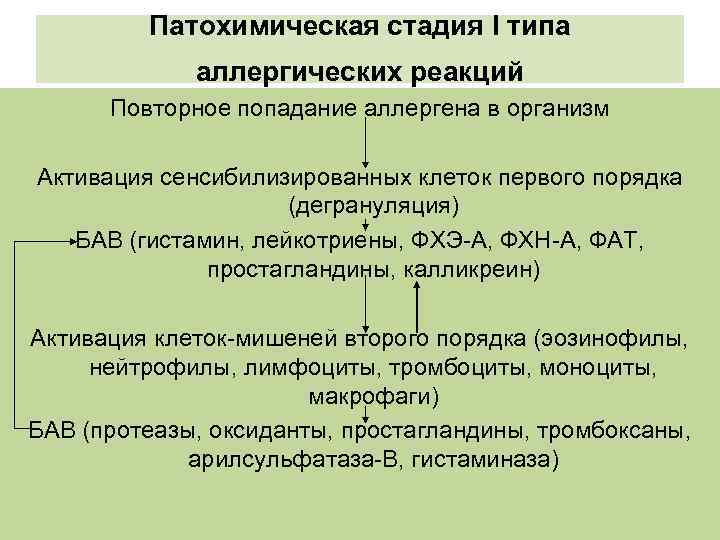 Патохимическая стадия Ι типа аллергических реакций Повторное попадание аллергена в организм Активация сенсибилизированных клеток