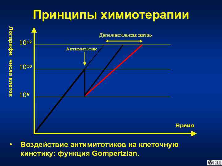 Принципы химиотерапии Логарифм числа клеток Дополнительная жизнь 1012 Антимитотик 1010 108 Время • Воздействие