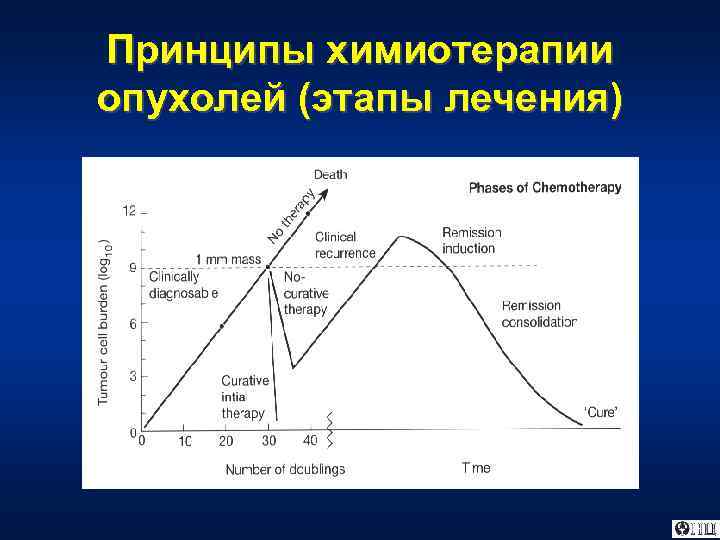 Принципы химиотерапии опухолей (этапы лечения) 