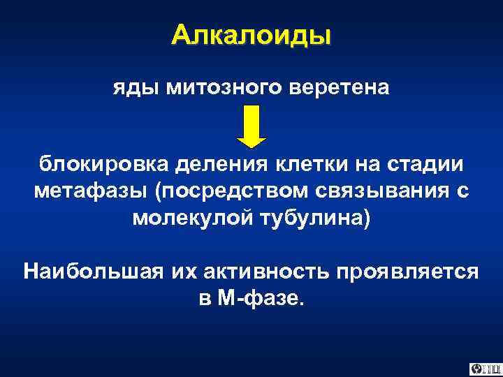 Алкалоиды яды митозного веретена блокировка деления клетки на стадии метафазы (посредством связывания с молекулой