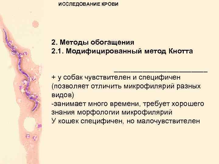 ИССЛЕДОВАНИЕ КРОВИ 2. Методы обогащения 2. 1. Модифицированный метод Кнотта ____________ + у собак