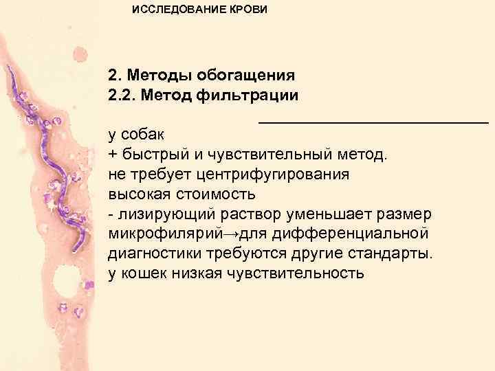 ИССЛЕДОВАНИЕ КРОВИ 2. Методы обогащения 2. 2. Метод фильтрации _____________ у собак + быстрый