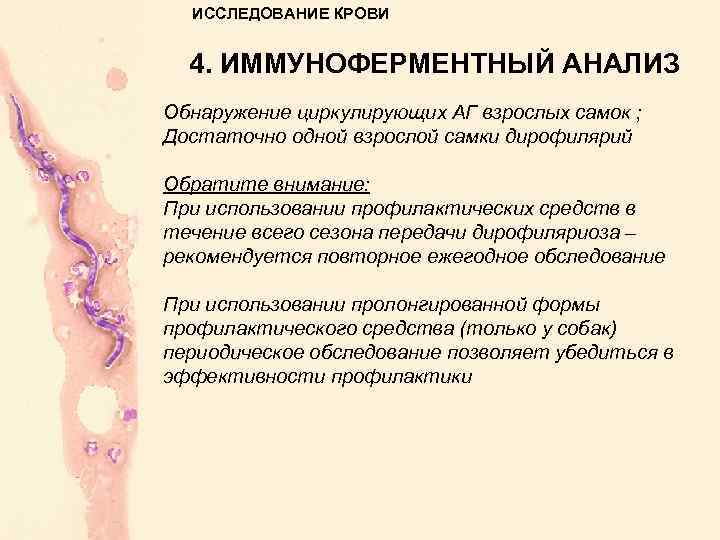 ИССЛЕДОВАНИЕ КРОВИ 4. ИММУНОФЕРМЕНТНЫЙ АНАЛИЗ Обнаружение циркулирующих АГ взрослых самок ; Достаточно одной взрослой