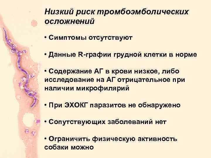 Низкий риск тромбоэмболических осложнений • Симптомы отсутствуют • Данные R-графии грудной клетки в норме