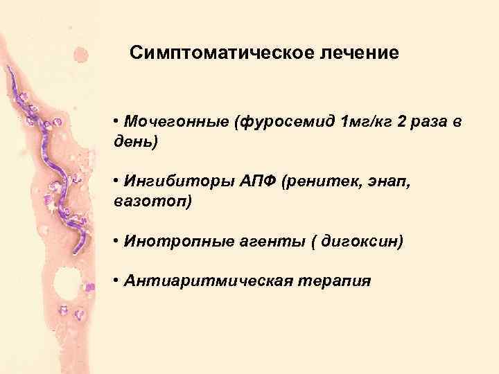 Симптоматическое лечение • Мочегонные (фуросемид 1 мг/кг 2 раза в день) • Ингибиторы АПФ