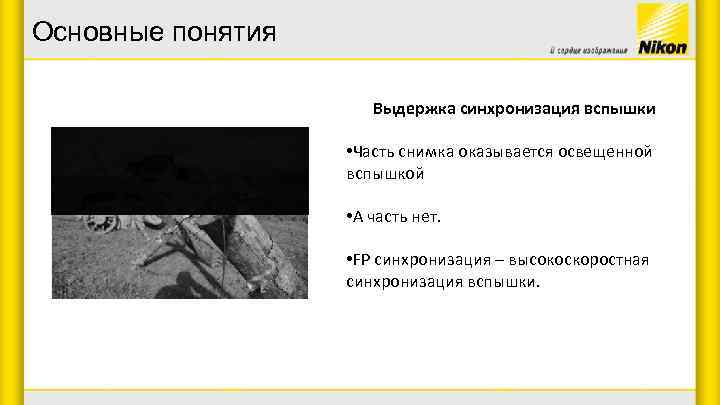 Основные понятия Выдержка синхронизация вспышки • Часть снимка оказывается освещенной вспышкой • А часть