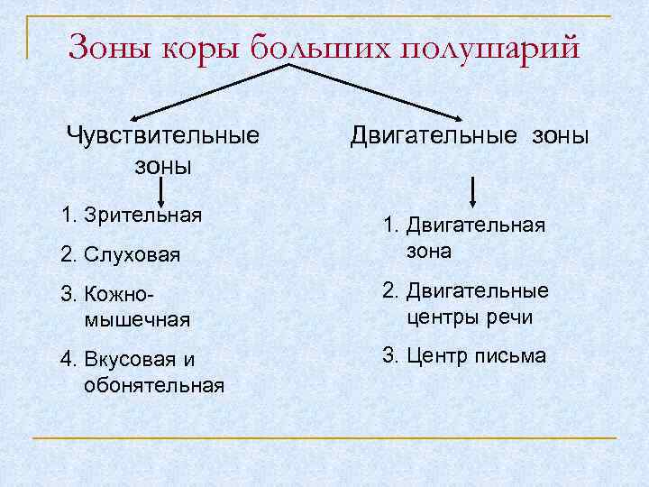 Зоны коры больших полушарий Чувствительные зоны 1. Зрительная Двигательные зоны 2. Слуховая 1. Двигательная