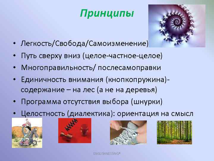 Принципы Легкость/Свобода/Самоизменение) Путь сверху вниз (целое-частное-целое) Многоправильность/ послесамоправки Единичность внимания (кнопкопружина)содержание – на лес