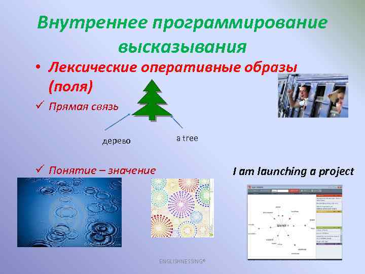 Внутреннее программирование высказывания • Лексические оперативные образы (поля) ü Прямая связь дерево a tree