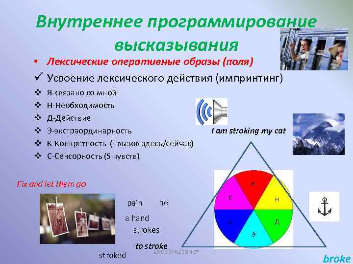 Внутреннее программирование высказывания • Лексические оперативные образы (поля) ü Усвоение лексического действия (импринтинг) v