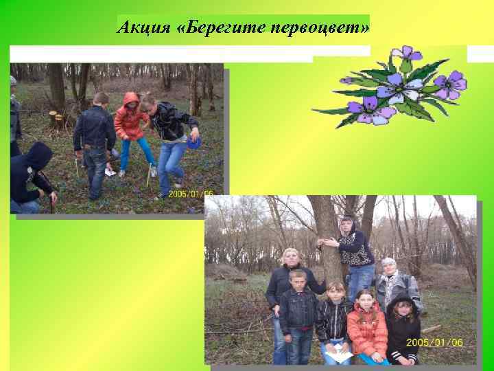 Акция «Берегите первоцвет» 