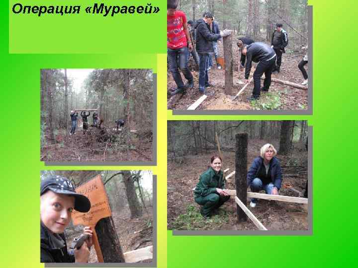 Операция «Муравей» 