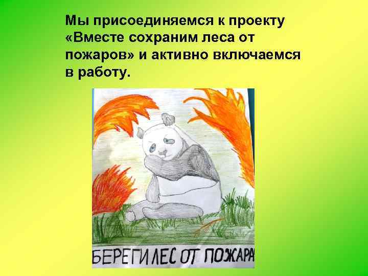 Мы присоединяемся к проекту «Вместе сохраним леса от пожаров» и активно включаемся в работу.