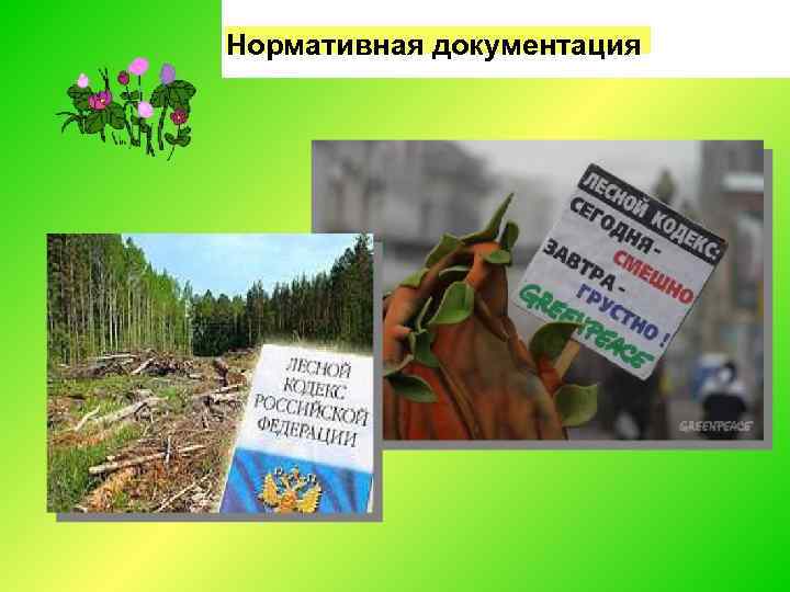 Нормативная документация 