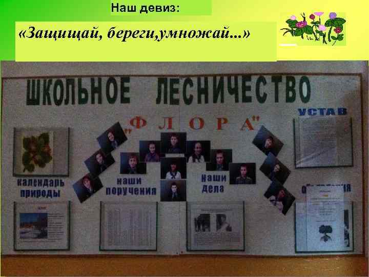 Наш девиз: «Защищай, береги, умножай. . . » 