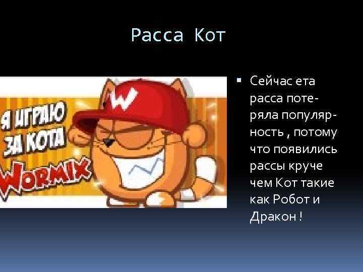 Расса Кот Сейчас ета расса потеряла популярность , потому что появились рассы круче чем