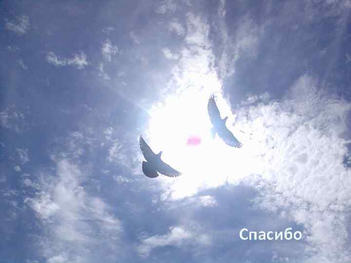 Спасибо 