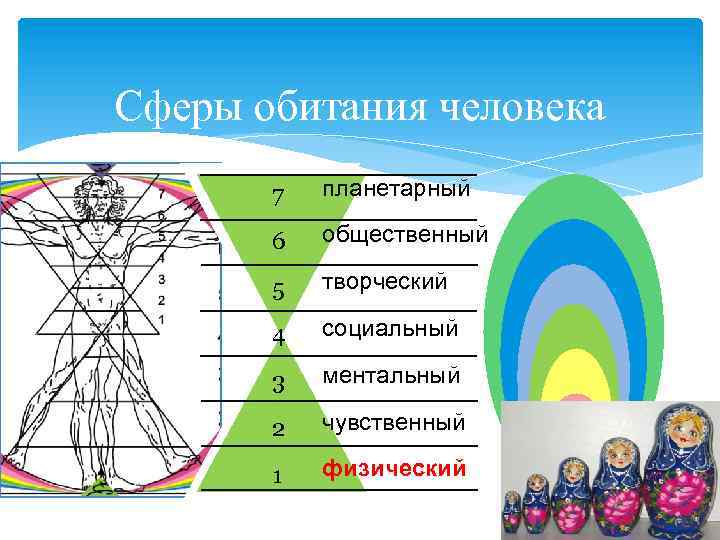 Сферы обитания человека 7 планетарный 6 общественный 5 творческий 4 социальный 3 ментальный 2