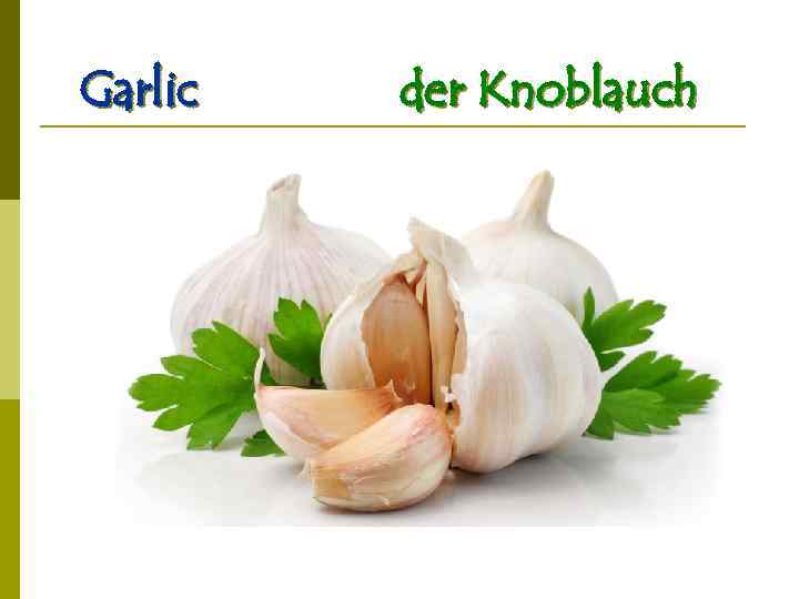 Garlic der Knoblauch 