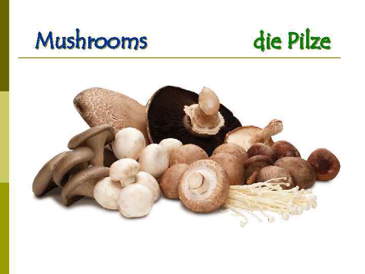 Mushrooms die Pilze 