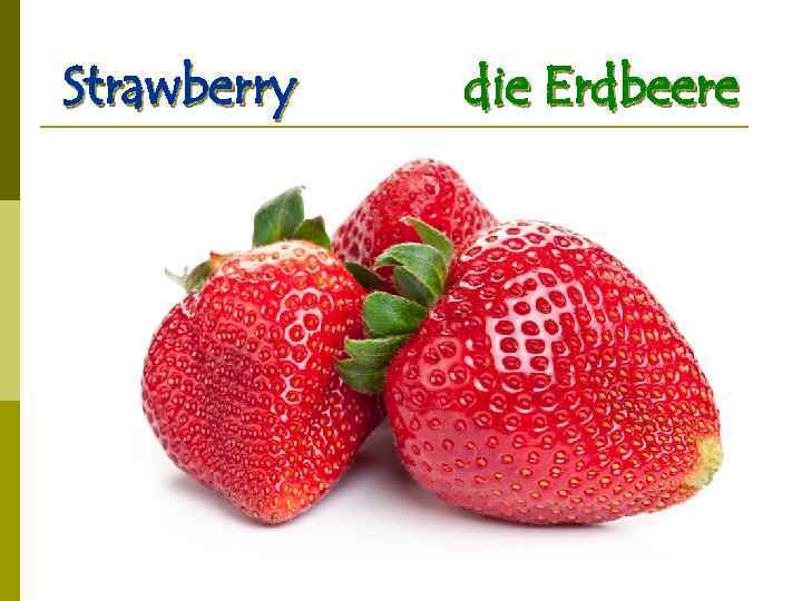 Strawberry die Erdbeere 