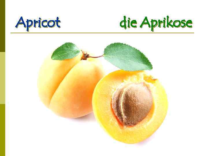 Apricot die Aprikose 