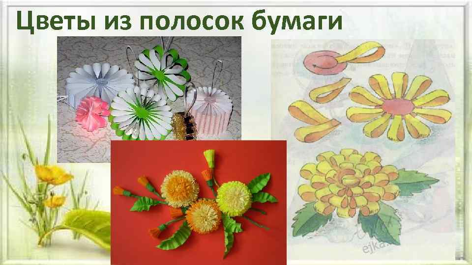 Цветы из полосок бумаги 