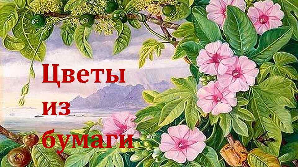 Цветы из бумаги 