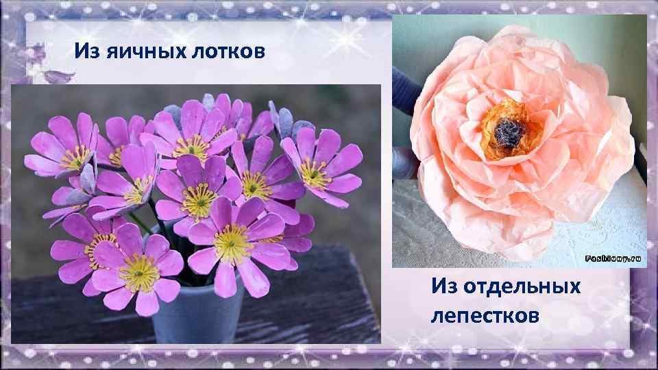 Из яичных лотков Из отдельных лепестков 