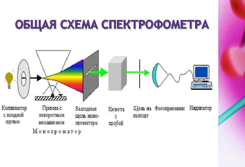 ОБЩАЯ СХЕМА СПЕКТРОФОМЕТРА 