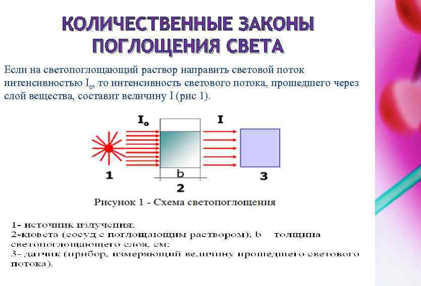 Поглощение света глазом. Поглощение света. Количественные показатели поглощения света. Закон поглощения.