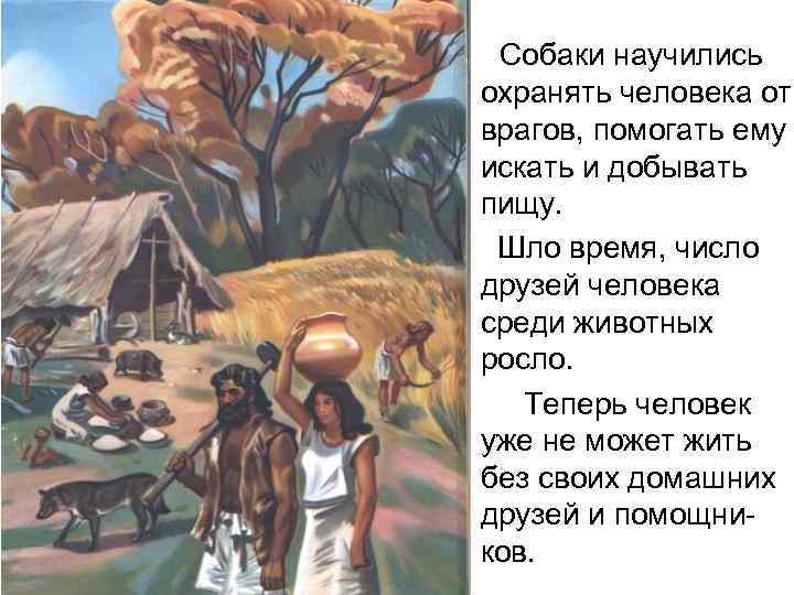  • Собаки научились охранять человека от врагов, помогать ему искать и добывать пищу.