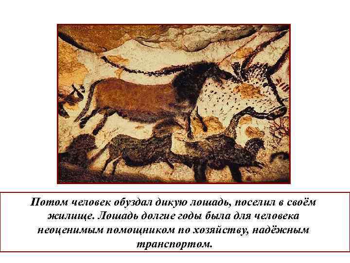 Потом человек обуздал дикую лошадь, поселил в своём жилище. Лошадь долгие годы была для