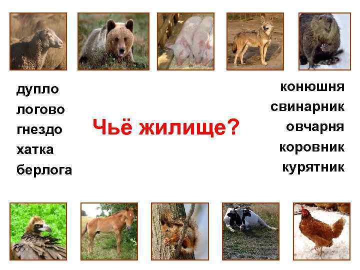 дупло логово гнездо хатка берлога Чьё жилище? конюшня свинарник овчарня коровник курятник 