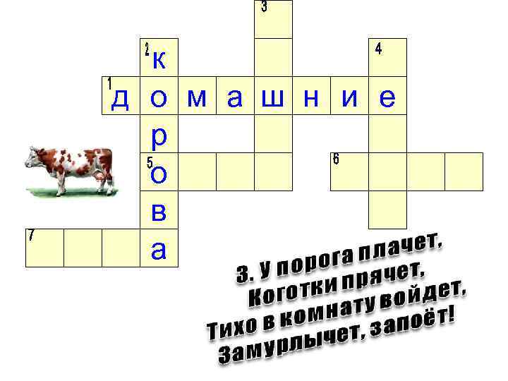 к д о м а ш н и е р о в а 