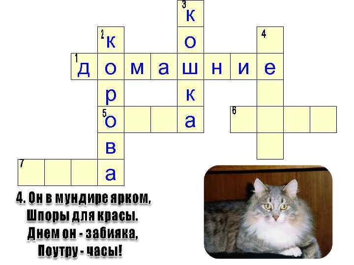 к к о д о м а ш н и е р к о