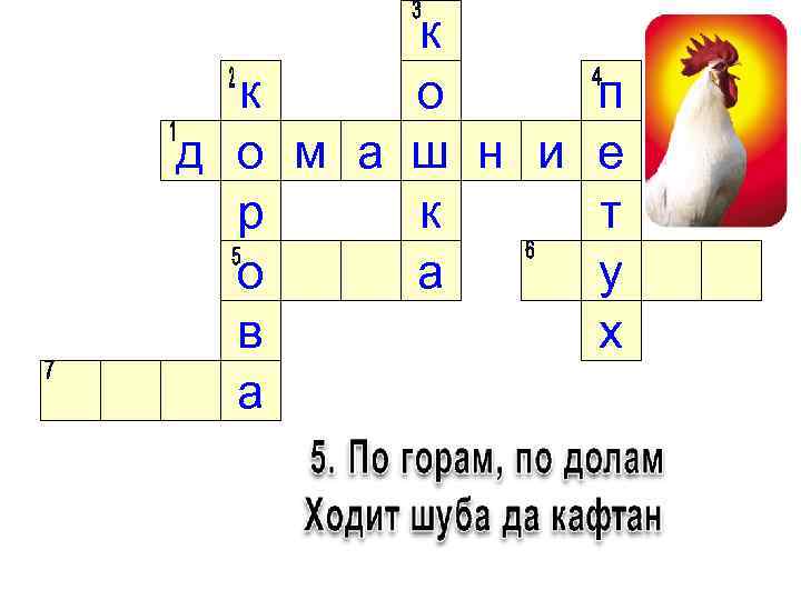 к к о п д о м а ш н и е р к