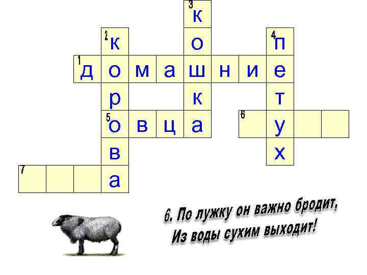 к д о р о в а к о п м а ш н