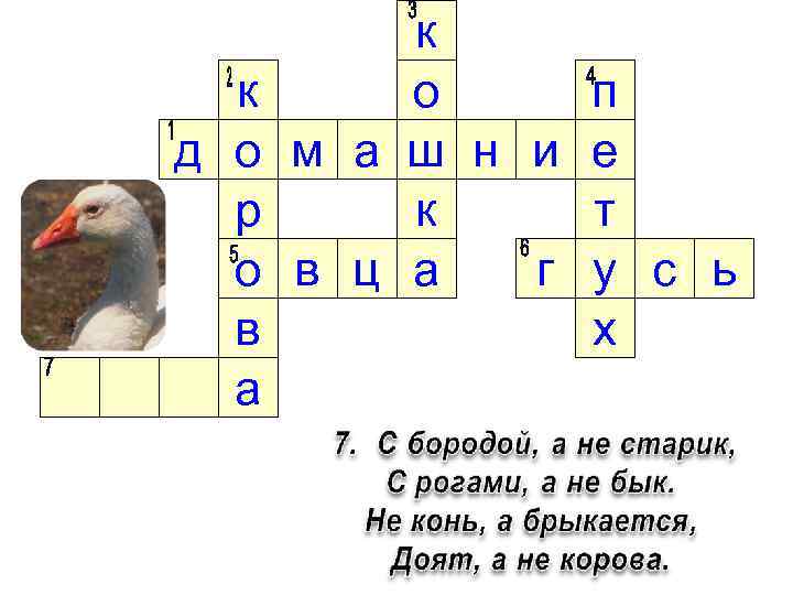 к д о р о в а к о м а ш н и