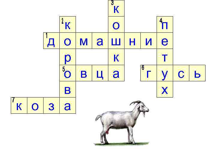 к д о р о в к о з а к о м а