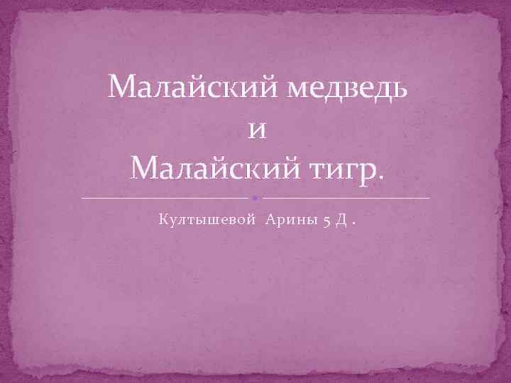 Малайский медведь и Малайский тигр. Култышевой Арины 5 Д. 