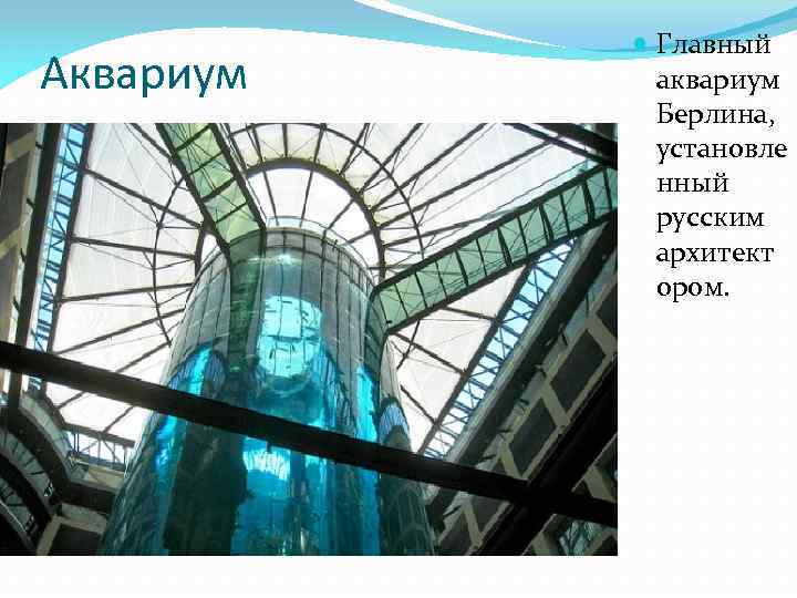 Аквариум Главный аквариум Берлина, установле нный русским архитект ором. 